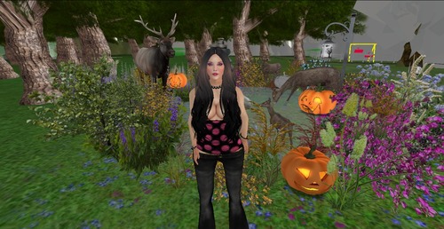 Web 562d5ec4128cc94937000001