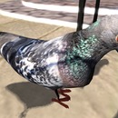 Thumb 53f58864f8a1ec3fc8000001