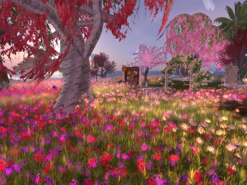 Web 51d96a958a14d24270000001