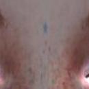 Thumb 5a8de2c573ed176fc8000001