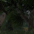 Thumb 516743e6dcc131138a000001