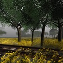 Thumb 51696b28e4f4f41bbe000001