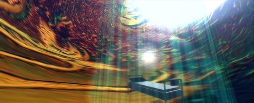 Web 515a04f705d83d783c000001