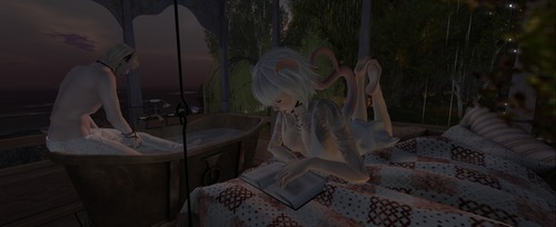 Web 516188b6019a8f49d9000001