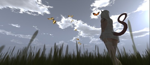 Web 51728ceb2768f139d3000001