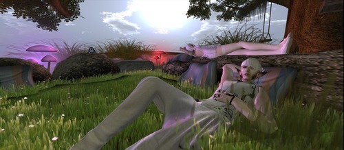 Web 5172946b8611b06571000001