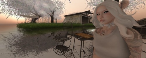 Web 52080de6b510b2074c000001