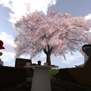 Thumb 533312298da5720c57000001