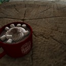 Thumb 565e0ae43f942f5f31000001