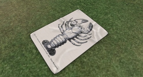 Web 558099c7128cc93f28000001