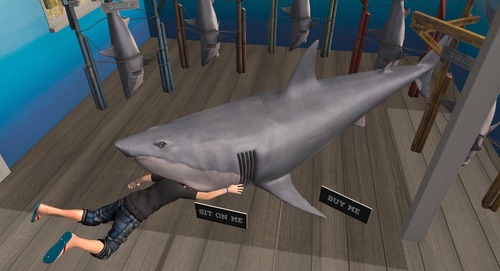 Web 5584c7a5128cc938dc000001