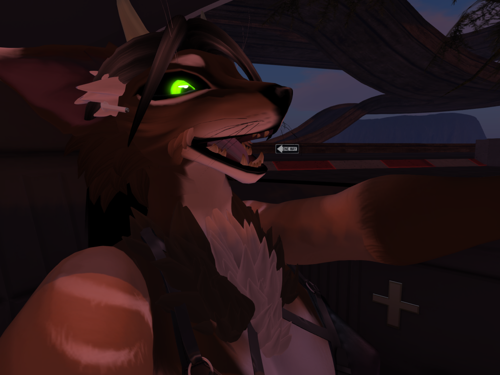 Original 62933d2f972bb642905db03b