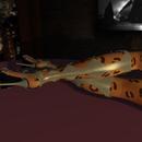 Thumb 623efce9c134816a5178f302