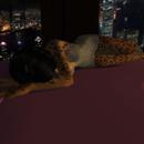 Thumb 623efe2b972bb65b0e5db03b