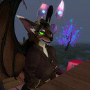 Thumb 64e1c0c25523990effc8ada9