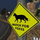 Thumb 64eafb6655239966e6c8ada9