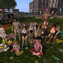 Thumb 661bd556f245c17e91157382