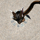 Thumb 669561a41ec76305c0f13bab