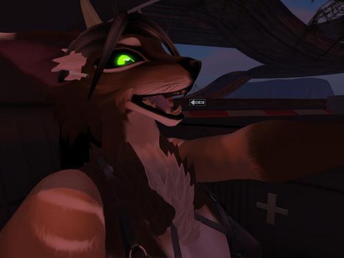 Web 62933d2f972bb642905db03b