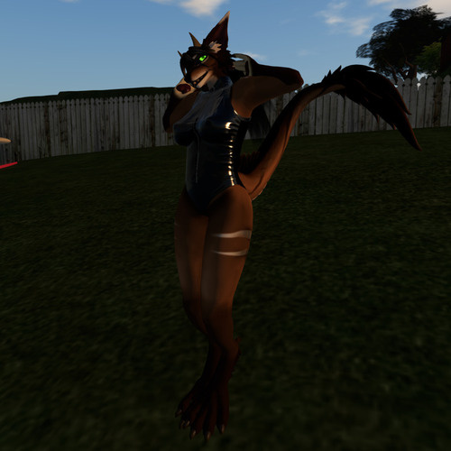 Web 6742959663ba0e71d220c66f