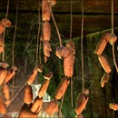 Thumb 57f5030df8a1ec4c7d000001