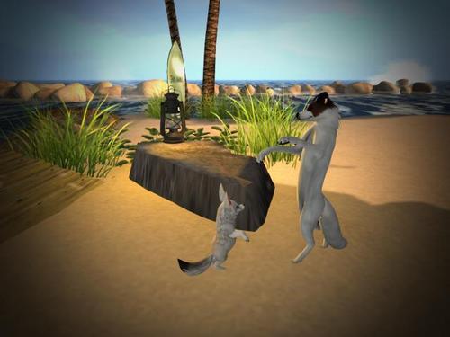 Web 5f798bae289dd21f649d9ad5