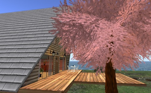 Web 4f6c7c957902a8044e000001