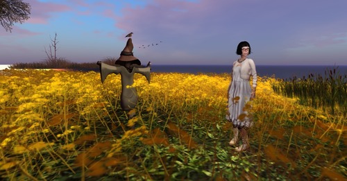 Web 572b1150b713f77c66000001