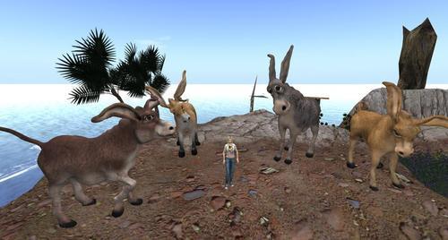 Web 5e22de1bd9859c74fc313ad1