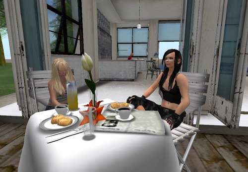 Web 4f0f0cdc91485f2617000001