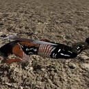 Thumb 5544c3f2f8a1ec52d4000001