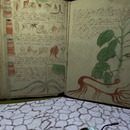 Thumb 5088a8a304274e0306000001