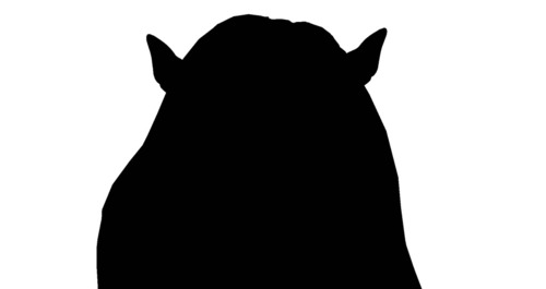 Web 55037dfca73e211c5d000001