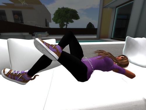 Web 506a535c0276241dee000001