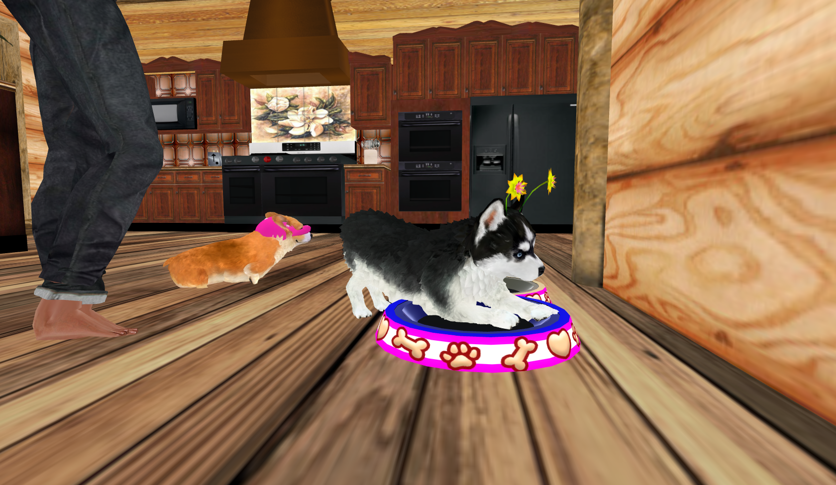 Original 516083e09a36431d78000001