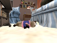 Small 538a94f28da5724cd9000001