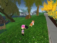 Small 5392a801a73e217078000001