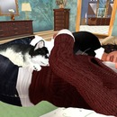 Thumb 4fa30e432d33f5498f000001