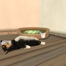 Thumb 4fa47273fc7035718f000001