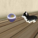 Thumb 4fa773c5e75f7d6598000001