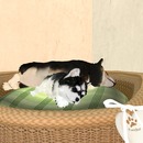 Thumb 4fa7750799afaf5baa000001