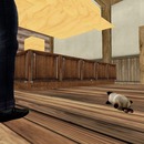 Thumb 4fac9e087cfb2a1e68000001