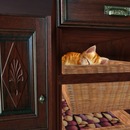 Thumb 51462a58900431351a000001