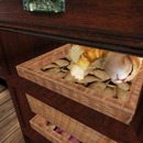 Thumb 51462ac3eeefe84bf3000001