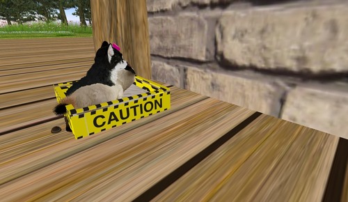 Web 4fac9a3da8f4331249000001