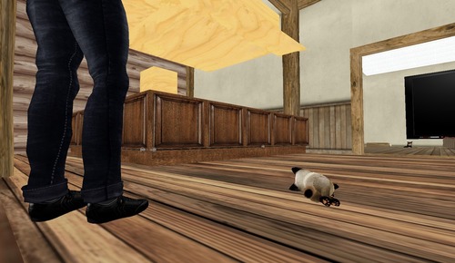 Web 4fac9e087cfb2a1e68000001