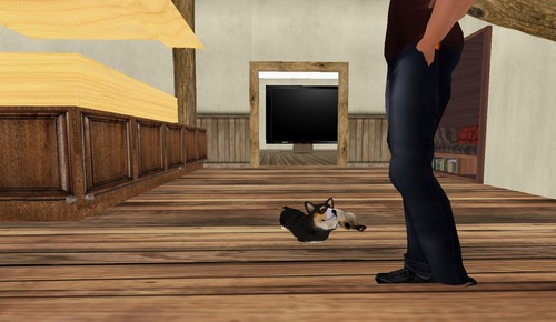 Web 4fac9e75dce4536e69000001