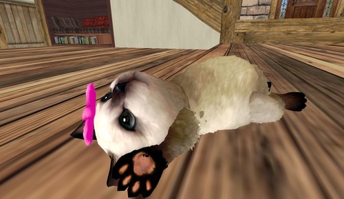 Web 4fb353ce295fec0824000001