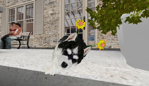 Web 517b67260eec5c7e1a000001