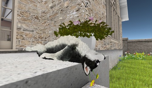 Web 517b67cb227ee5143b000001